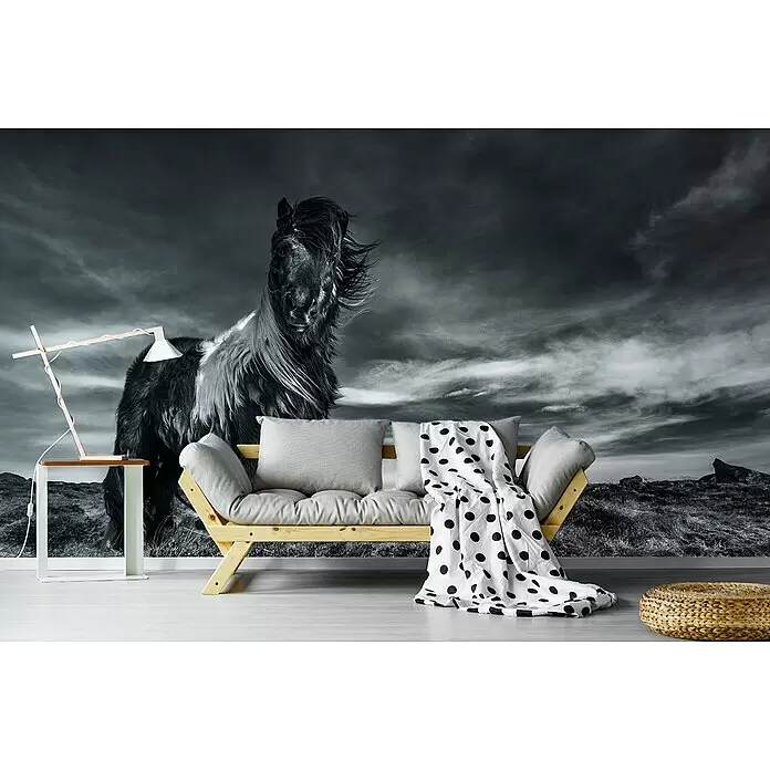 Papermoon Premium collection Fototapete Pferd im Wind - B x H: 350 x 260 cm, Vlies - Ein gemütliches Holz-Futonsofa mit hellgrauen Kissen und einer weiß-gepunkteten Decke in einem stilvollen Raum.