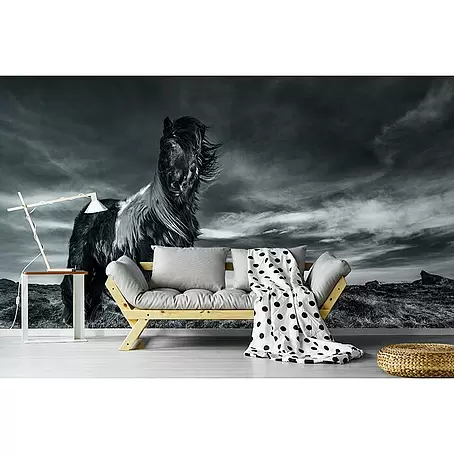 Papermoon Premium collection Fototapete Pferd im Wind