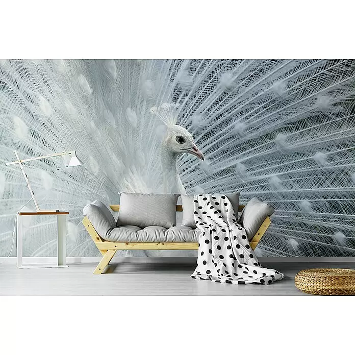 Papermoon Premium collection Fototapete Weißer Pfau - B x H: 300 x 223 cm, Vlies - Hölzernes Futonsofa mit grauen Kissen und gepunkteter Decke in einem Zimmer mit weißem Pfauen-Wandbild.