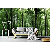Papermoon Premium collection Fototapete Wald (B x H: 350 x 260 cm, Vlies) | BAUHAUS