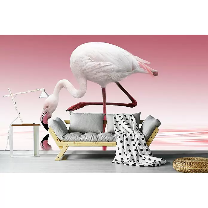 Papermoon Premium collection Fototapete Flamingo - B x H: 400 x 26 cm, Vlies - Stimmungsaufnahme