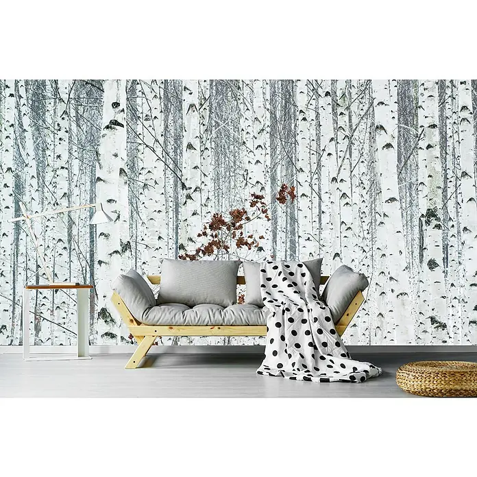 Papermoon Premium collection Fototapete Birkenweiß - B x H: 400 x 26 cm, Vlies - Foto eines hölzernen Schlafsofas mit grauem Kissen und einer Decke mit schwarzen Punkten vor einer Birkenwaldtapete.