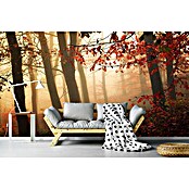 Papermoon Premium collection Fototapete Auf Das Licht (B x H: 350 x 260 cm, Vlies) | BAUHAUS