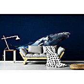 Papermoon Premium collection Fototapete Buckelwal in Blau (B x H: 350 x 260 cm, Vlies) | BAUHAUS