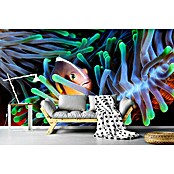 Papermoon Premium collection Fototapete Clownfisch (B x H: 450 x 280 cm, Vlies) | BAUHAUS