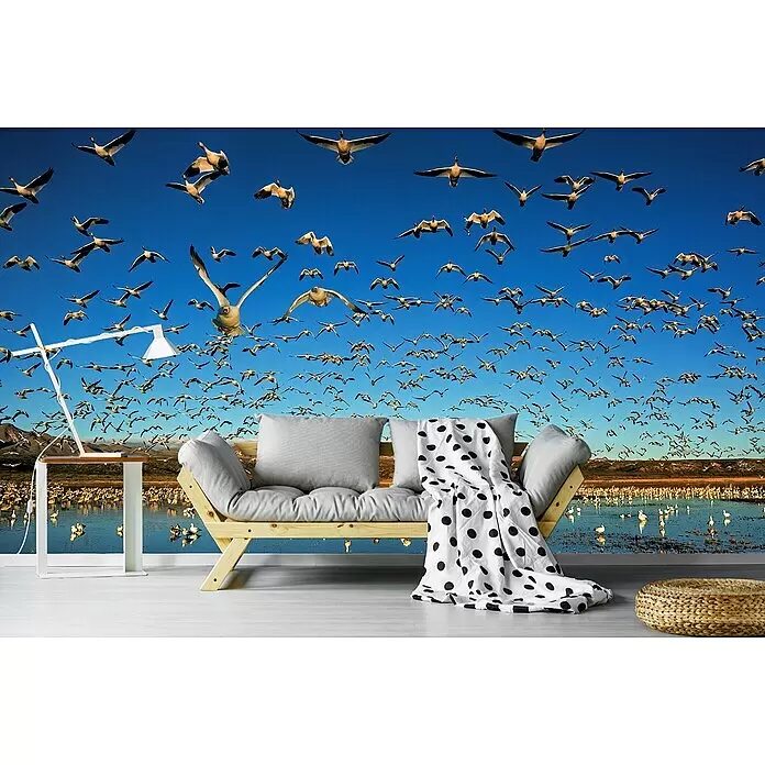Papermoon Premium collection Fototapete Legion Von Flügeln - B x H: 250 x 186 cm, Vlies - Holzsofa mit grauen Kissen und gepunkteter Decke, weißer Beistelltisch mit Lampe und geflochtener Pouf in einem Raum.