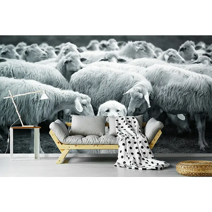 Papermoon Premium collection Fototapete Schäferhund mit Herde - B x H: 500 x 280 cm, Vlies - Wandbild mit einer Schafherde und einem Hund, eine Lampe und ein Sofa mit Kissen und einer gepunkteten Decke im Vordergrund.