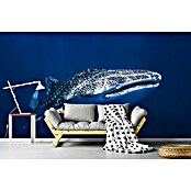 Papermoon Premium collection Fototapete Walhai (B x H: 250 x 186 cm, Vlies) | BAUHAUS