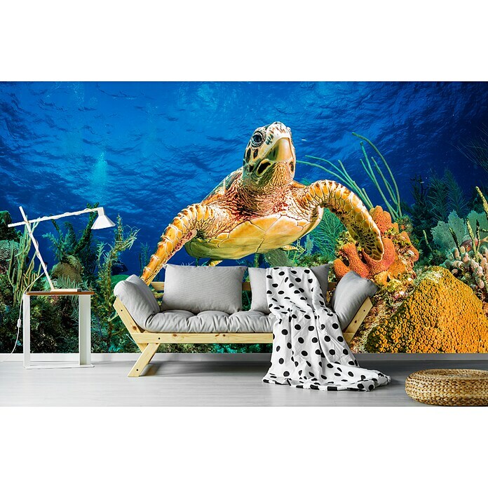 Papermoon Premium collection Fototapete Turtle Karibik Riff (B x H: 250 x 186 cm, Vlies) | BAUHAUS