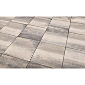 EHL Terrassenplatte Loreto (50 x 50 x 5 cm, Grau, Beton) | BAUHAUS