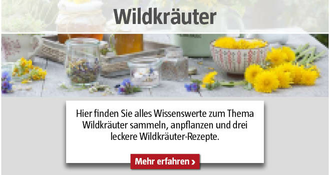 Wildkräuter