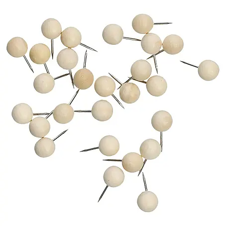Zeller Present  Push-Pins