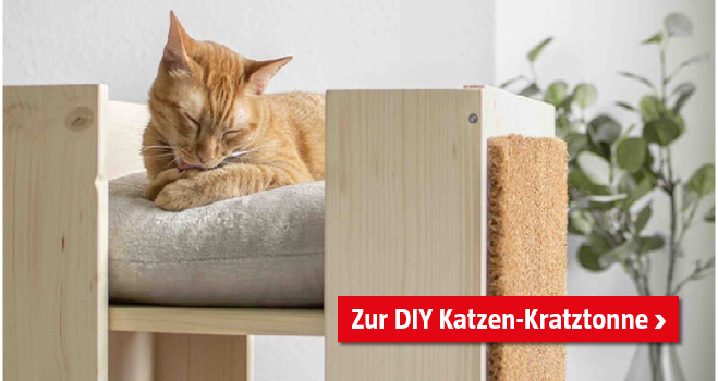 DIY Katzen-Kratztonne