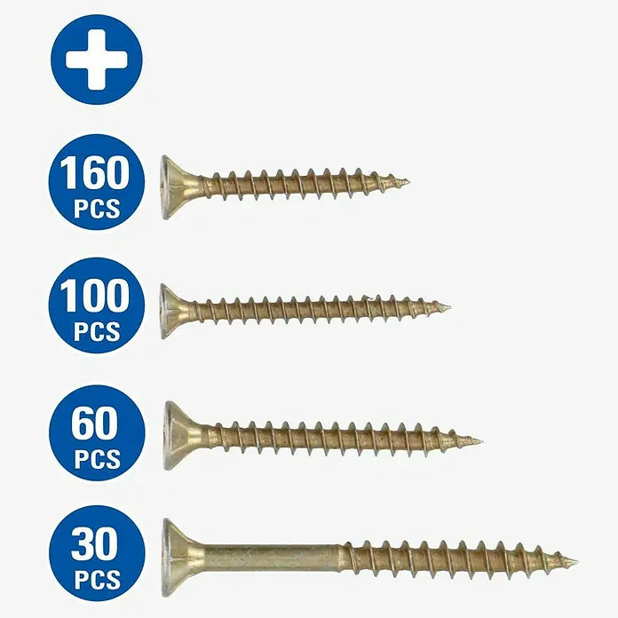 Kit de tornillos - 250 pzs. - Juego de tornillos con diferentes tamaños y cantidades (160, 100, 60, 30), ideal para diversas tareas de fijación en casa y en el taller.