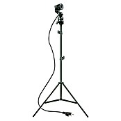 Schwaiger Radna svjetiljka za žarulju E27  (Visina: 2,1 m, 230 V, Maksimalna snaga: 200 W) | BAUHAUS