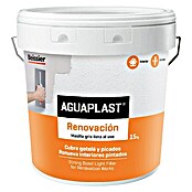 Beissier Masilla renovación Aguaplast (15 kg)