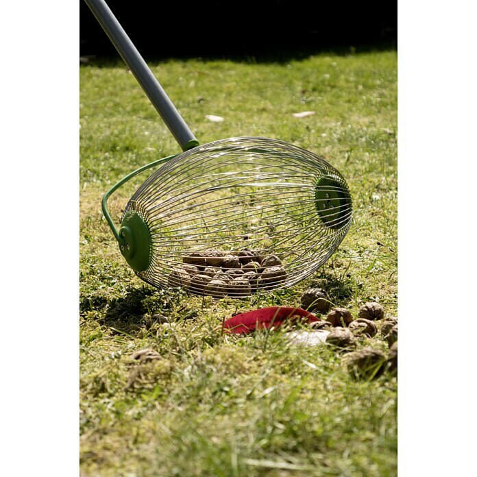 Freund Victoria Pobiralnik sadja  (Delovna širina: 30 cm) | 7240 - Geräte mit Stiel | IADA - Gartenhandgeräte | IAD - Gartenhandgeräte | IA - Gartenhartware | I - Stadtgarten | BAUHAUS