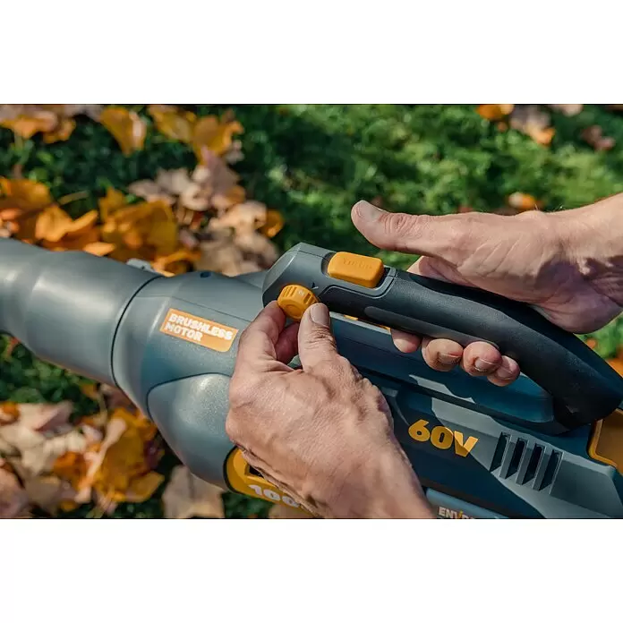 Worx ENVIRO Akku-Laubbläser EG560.9 - 60 V, Ohne Akku, Blasgeschwindigkeit: 200 km/h, Blasleistung: 1.000 m³/h - Anwendungsbeispiel