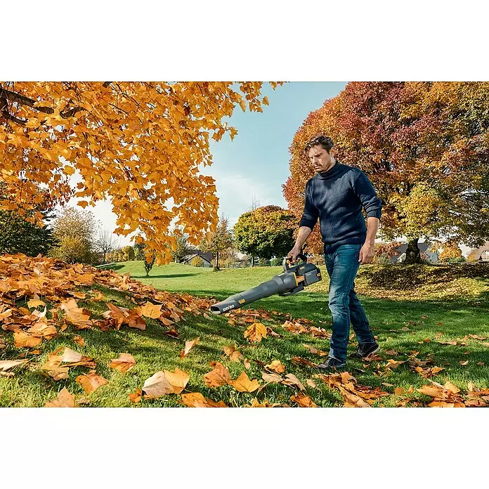 Worx ENVIRO Akku-Laubbläser EG560.9 - 60 V, Ohne Akku, Blasgeschwindigkeit: 200 km/h, Blasleistung: 1.000 m³/h - Anwendungsbeispiel