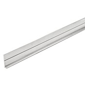 Dumawall+ Startprofiel (260 cm, Aluminium, 2,2 cm) | BAUHAUS
