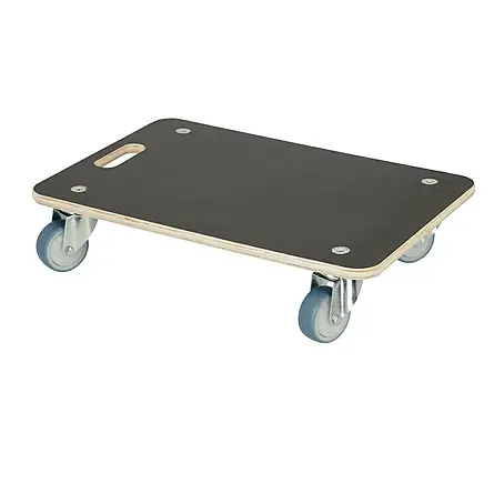 Wagner System  Transportroller Cargo Professional