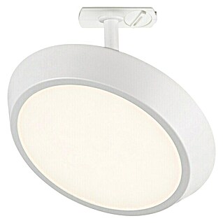 Nordlux Link Foco de una luz LED Diskie (7,4 W, Ø x Al: 20 x 14 cm, Blanco cálido, Blanco)