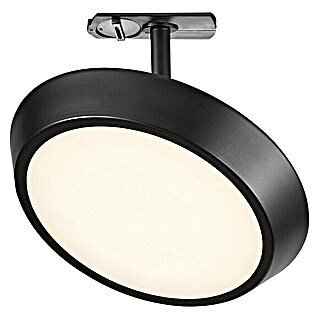 Nordlux Link Foco de una luz LED Diskie (7,4 W, Ø x Al: 20 x 14 cm, Blanco cálido, Negro)