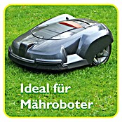 Neudorff Azet Herbstrasendünger (10 kg, Inhalt ausreichend für ca.: 200 m²)