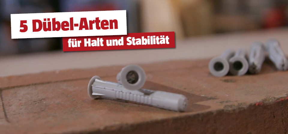 Dübel
