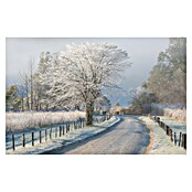 Papermoon Premium collection Fototapete Ein frostiger Morgen (B x H: 250 x 186 cm, Vlies) | BAUHAUS