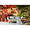Papermoon Premium collection Fototapete Fuchs (B x H: 300 x 223 cm, Vlies) | BAUHAUS