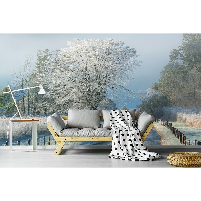 Papermoon Premium collection Fototapete Ein frostiger Morgen (B x H: 250 x 186 cm, Vlies) | BAUHAUS