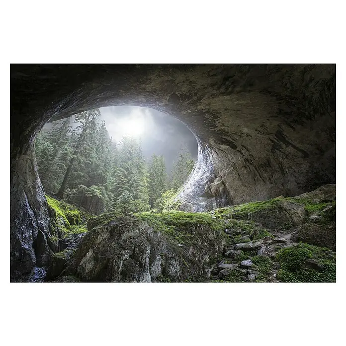 Papermoon Premium collection Fototapete Höhle zum Himmel - B x H: 200 x 149 cm, Vlies - Ein atemberaubender Blick aus einer Höhle auf einen Wald mit hellem Lichtschein, der eine magische Atmosphäre erzeugt.