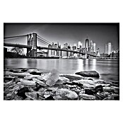 Papermoon Premium collection Fototapete New York Brooklybridge (B x H: 450 x 280 cm, Vlies) | BAUHAUS