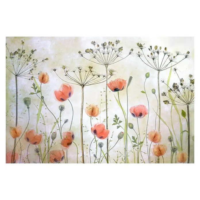 Papermoon Premium collection Fototapete Mohnwiese - B x H: 350 x 260 cm, Vlies - Zarte Aquarellmalerei von Mohnblumen und Dillblüten in sanften Farbtönen, die eine ruhige und natürliche Atmosphäre schafft.