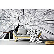 Papermoon Premium collection Fototapete Waldblick nach oben (B x H: 250 x 186 cm, Vlies) | BAUHAUS