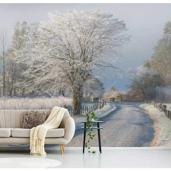 Papermoon Premium collection Fototapete Ein frostiger Morgen (B x H: 250 x 186 cm, Vlies) | BAUHAUS