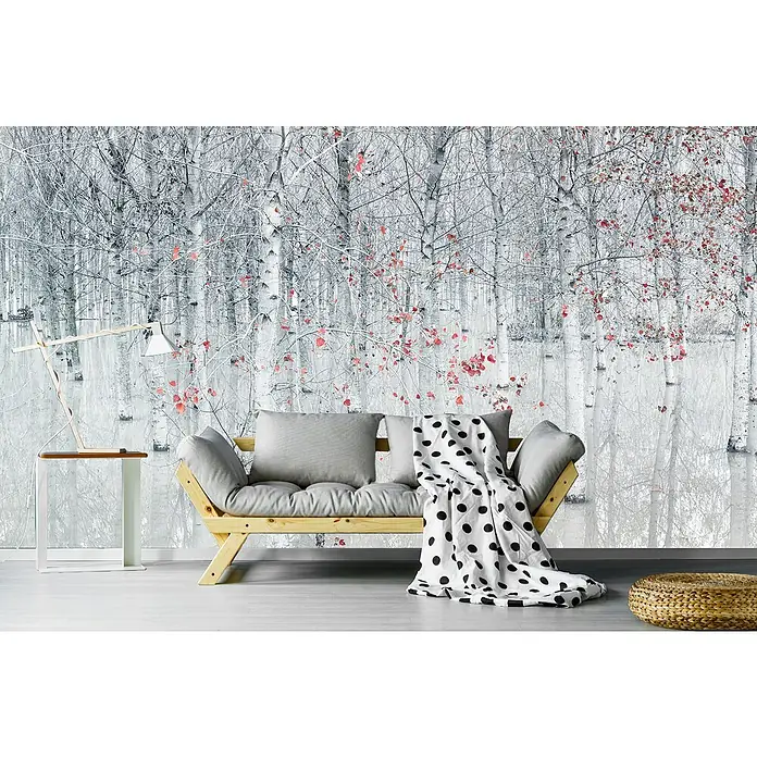 Papermoon Premium collection Fototapete Rot Ein Weiß - B x H: 250 x 186 cm, Vlies - Das Foto zeigt ein stilvolles Wohnzimmer mit einem hellen Holzsofa, grauen Kissen und einer Decke mit schwarzen Punkten vor einer Birkenwaldtapete.
