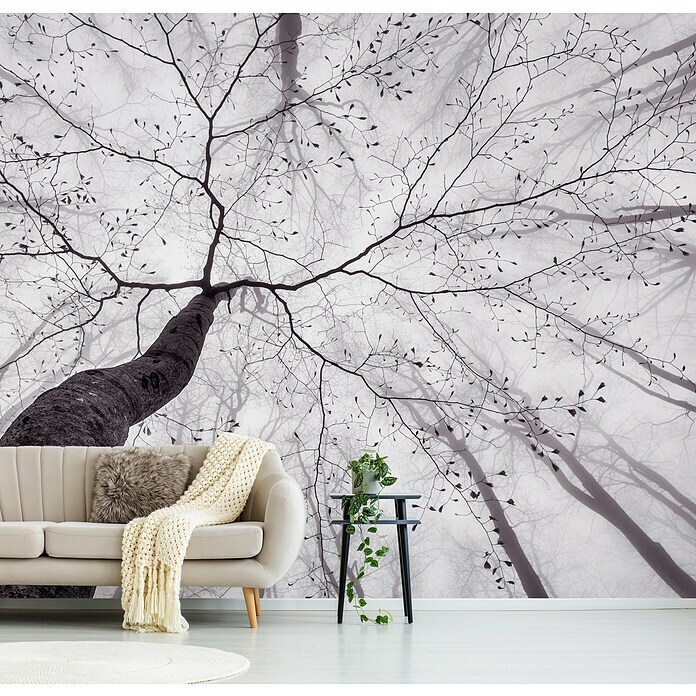 Papermoon Premium collection Fototapete Waldblick nach oben (B x H: 250 x 186 cm, Vlies) | BAUHAUS