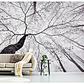 Papermoon Premium collection Fototapete Waldblick nach oben (B x H: 350 x 260 cm, Vlies) | BAUHAUS