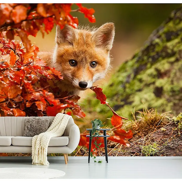 Papermoon Premium collection Fototapete Fuchs - B x H: 250 x 186 cm, Vlies - Wandbild mit Fuchs-Motiv im Herbstwald, ideal für Wohnzimmer. Bringt die Schönheit der Natur ins Haus, schafft eine warme Atmosphäre.