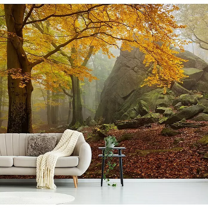 Papermoon Premium collection Fototapete Herbstwald - B x H: 300 x 223 cm, Vlies - Wandtapete mit einem nebligen Herbstwald, gelben Blättern und moosbewachsenen Felsen, hinter einem beigen Sofa in einem Raum.