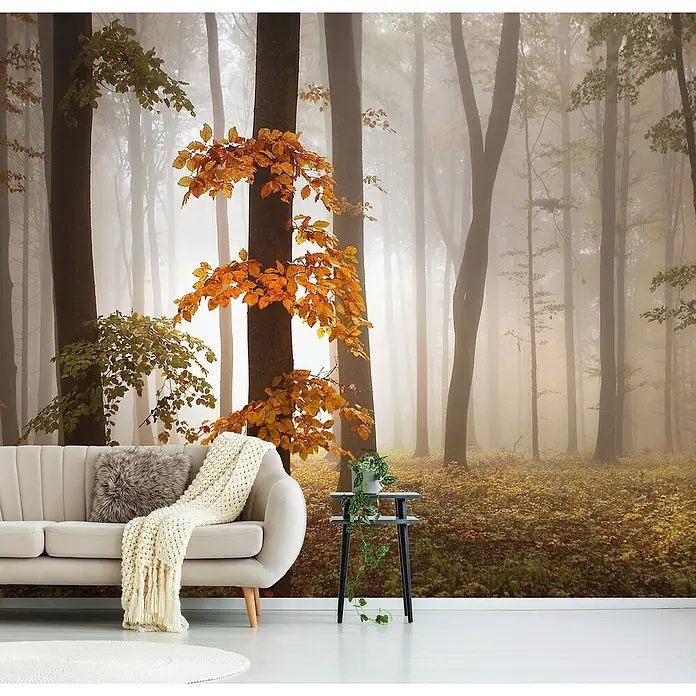 Papermoon Premium collection Fototapete Im November - B x H: 300 x 223 cm, Vlies - Wandbild eines nebligen Waldes mit Herbstlaub, das eine ruhige Atmosphäre in den Raum bringt. Ideal für Wohnzimmer und Schlafzimmer.