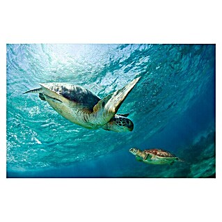 Papermoon Premium collection Fototapete Schildkröten unter Wasser (B x H: 400 x 260 cm, Vlies)