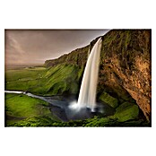 Papermoon Premium collection Fototapete Seljalandsfoss (B x H: 500 x 280 cm, Vlies) | BAUHAUS