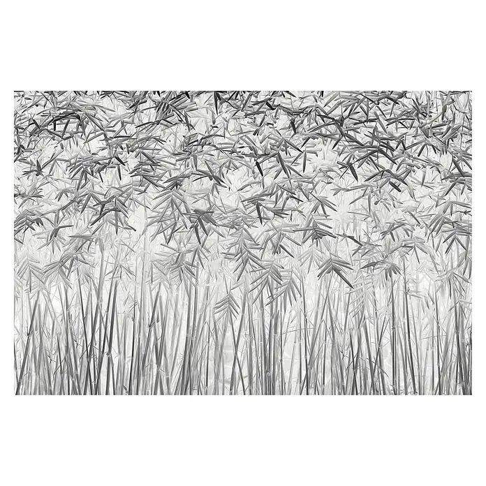 Papermoon Premium collection Fototapete Parallelität - B x H: 300 x 223 cm, Vlies - Schwarzes und weißes Bild eines dichten Bambuswaldes, der eine ruhige und natürliche Ästhetik bietet.