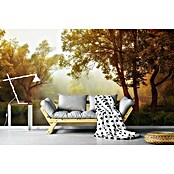 Papermoon Premium collection Fototapete Nebeliger Herbst (B x H: 500 x 280 cm, Vlies) | BAUHAUS