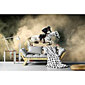 Papermoon Premium collection Fototapete Weißes Pferd (B x H: 500 x 280 cm, Vlies) | BAUHAUS
