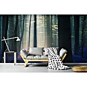 Papermoon Premium collection Fototapete Samtlicht (B x H: 450 x 280 cm, Vlies) | BAUHAUS