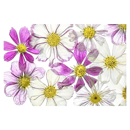 Papermoon Premium collection Fototapete Sommer halten